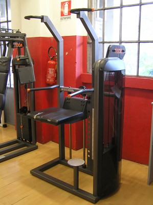 A machine for assisted pull-ups, as seen at the Golden Gym in Milan © Rest Jug